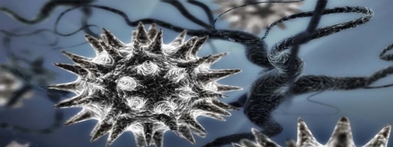 Afbeelding van een biologisch virus